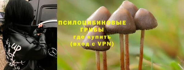 бошки Мегион