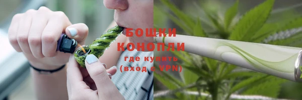бошки Мегион
