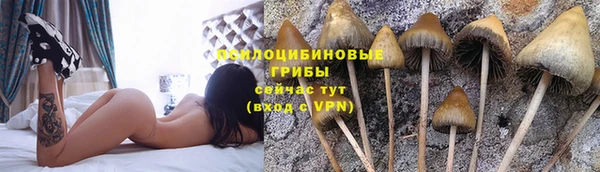 синтетический гашиш Медногорск