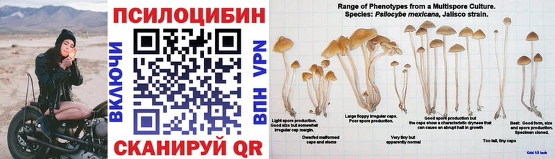 ОМГ ОМГ вход  Мосальск  Галлюциногенные грибы GOLDEN TEACHER 