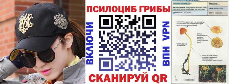 Галлюциногенные грибы Cubensis Мосальск